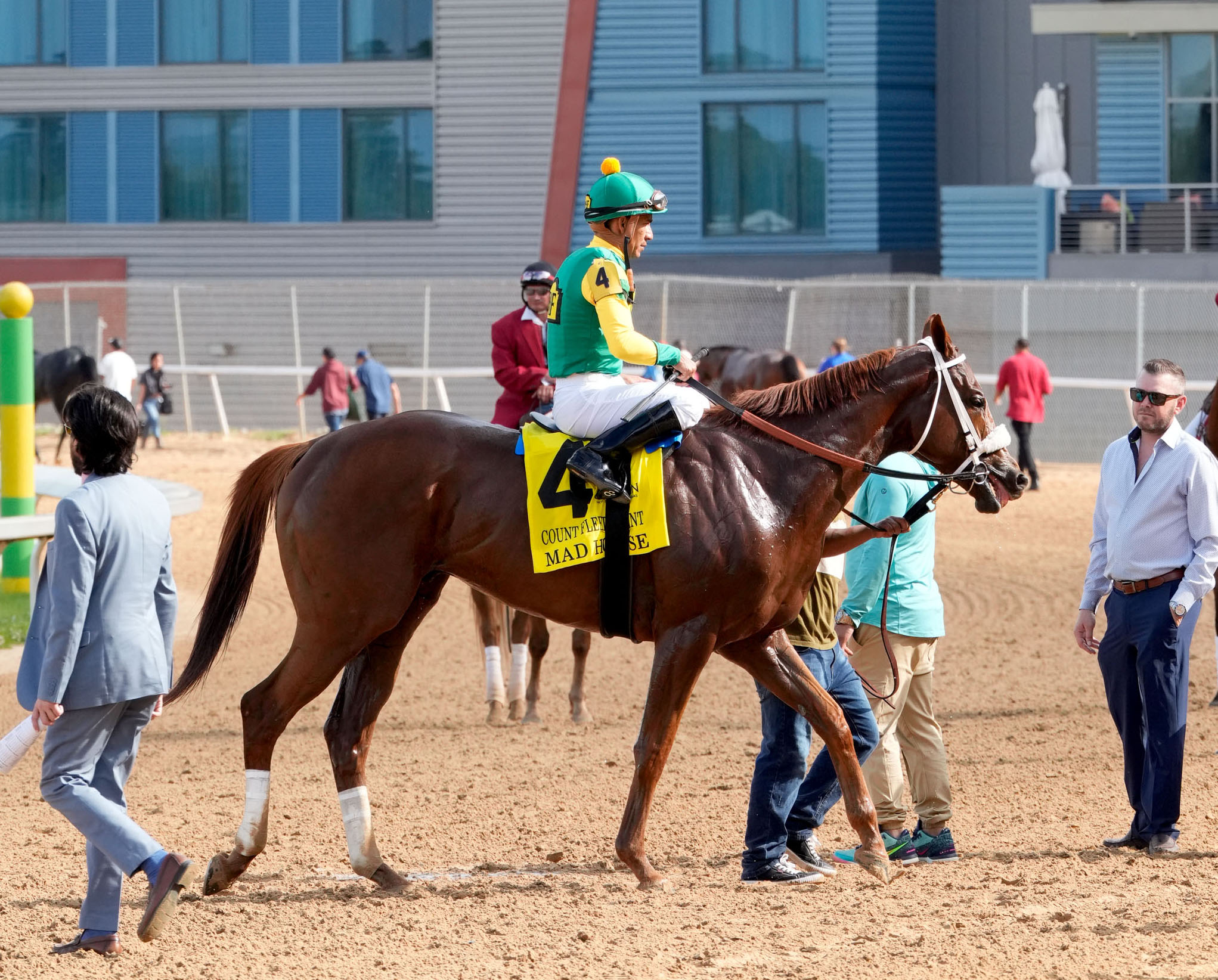 Florida-bred Thoroughbred Mad House is led down the track at Oaklawn Park with jockey Paco Lopez in his saddle after their win of the 2026 Count Fleet Sprint. (Photo: ©Shelby Layne Ridgway/Coady Media)