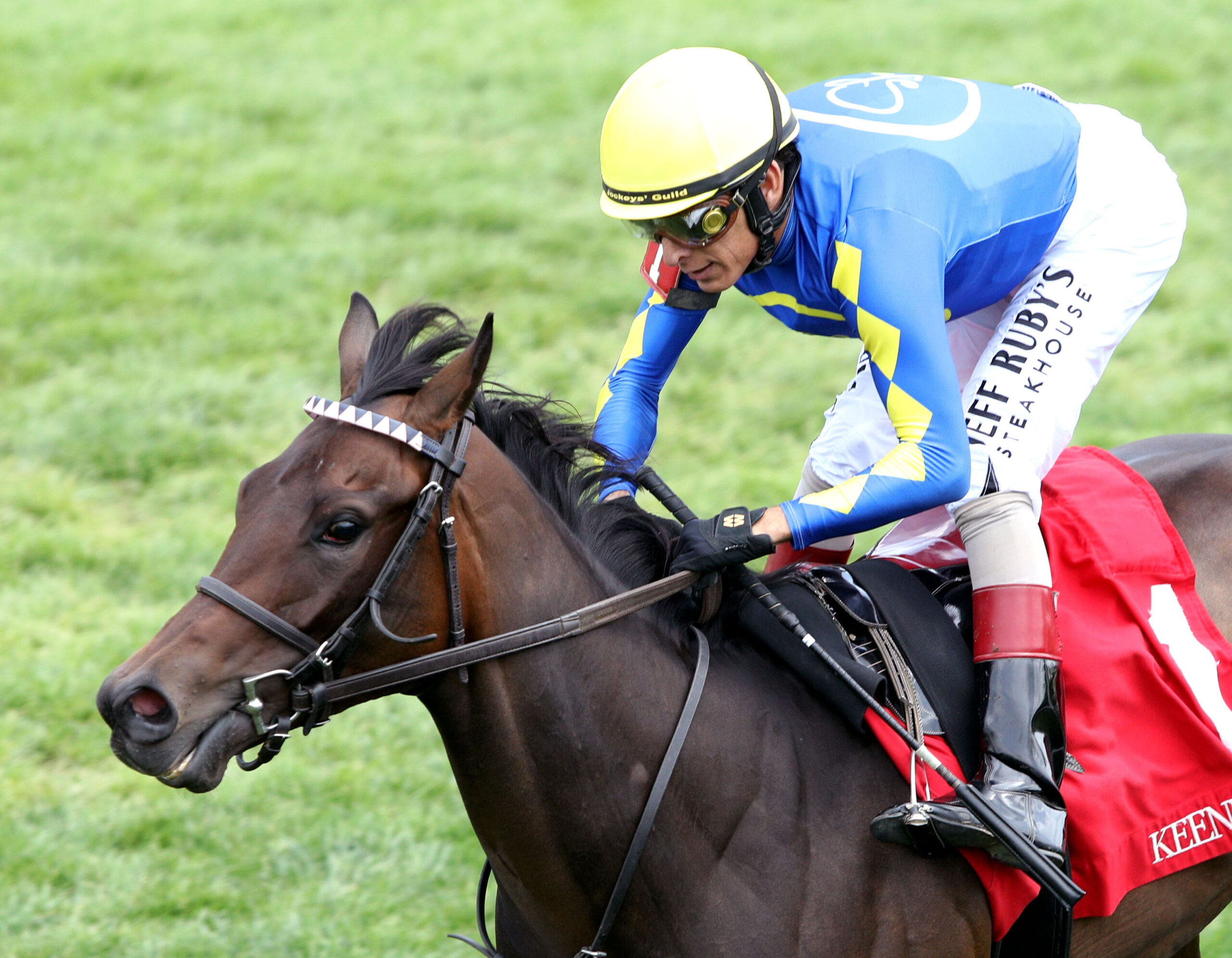 Closely cropped photo of Florida-bred Thoroughbred More Champagne and Hall of Fame jockey John Velazquez gallop to the wire during a maiden special weight at Keeneland that they won by six-and-a-half lengths on April 24, 2026. (Photo: ©Coady Media)