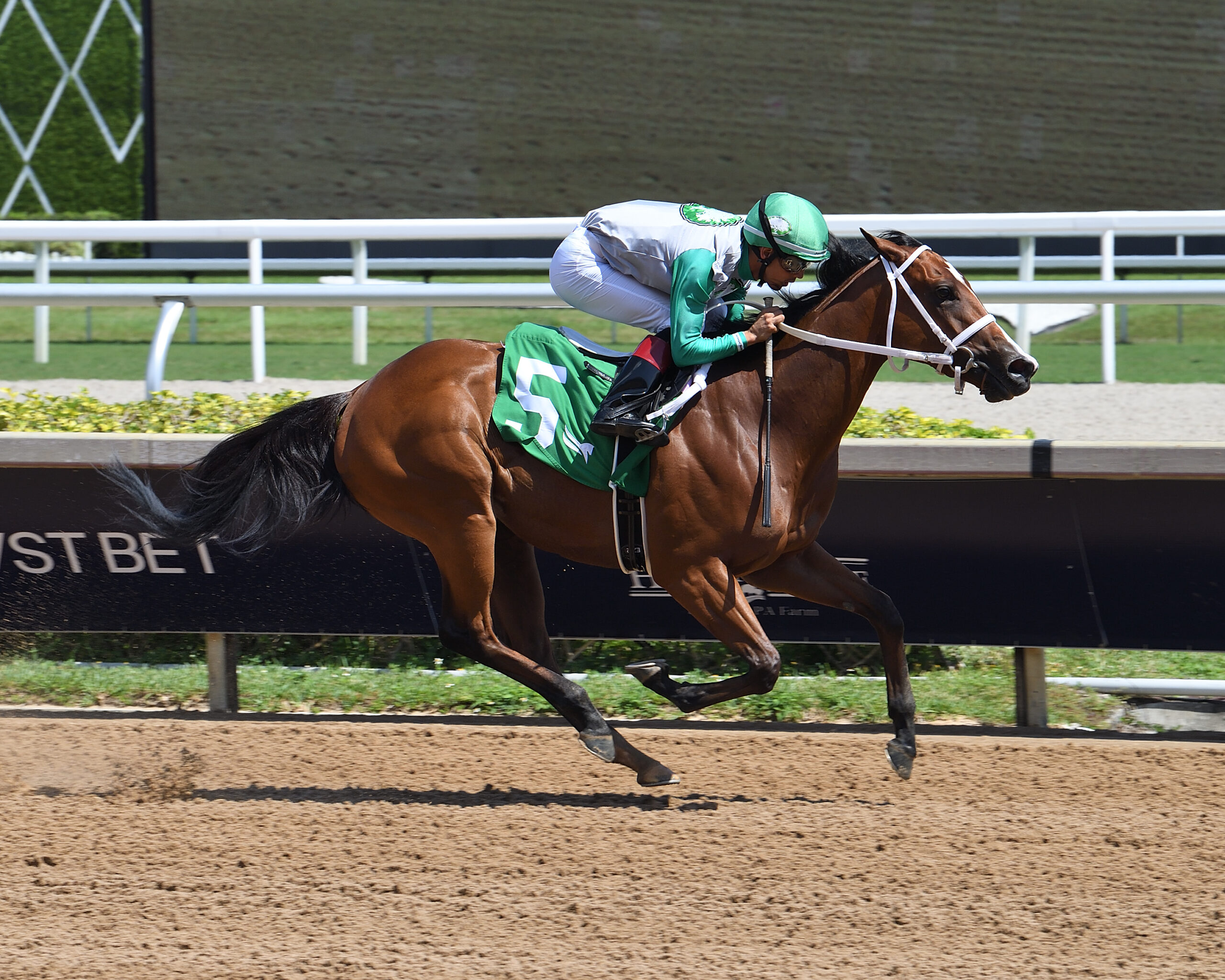 Florida-bred Thoroughbred Mythical and jockey Edgard Zayas sail to the wire at Gulfstream Park during their win of the 2026 FHBPA Sophomore Fillies Sprint. (Photo: ©Lauren King)