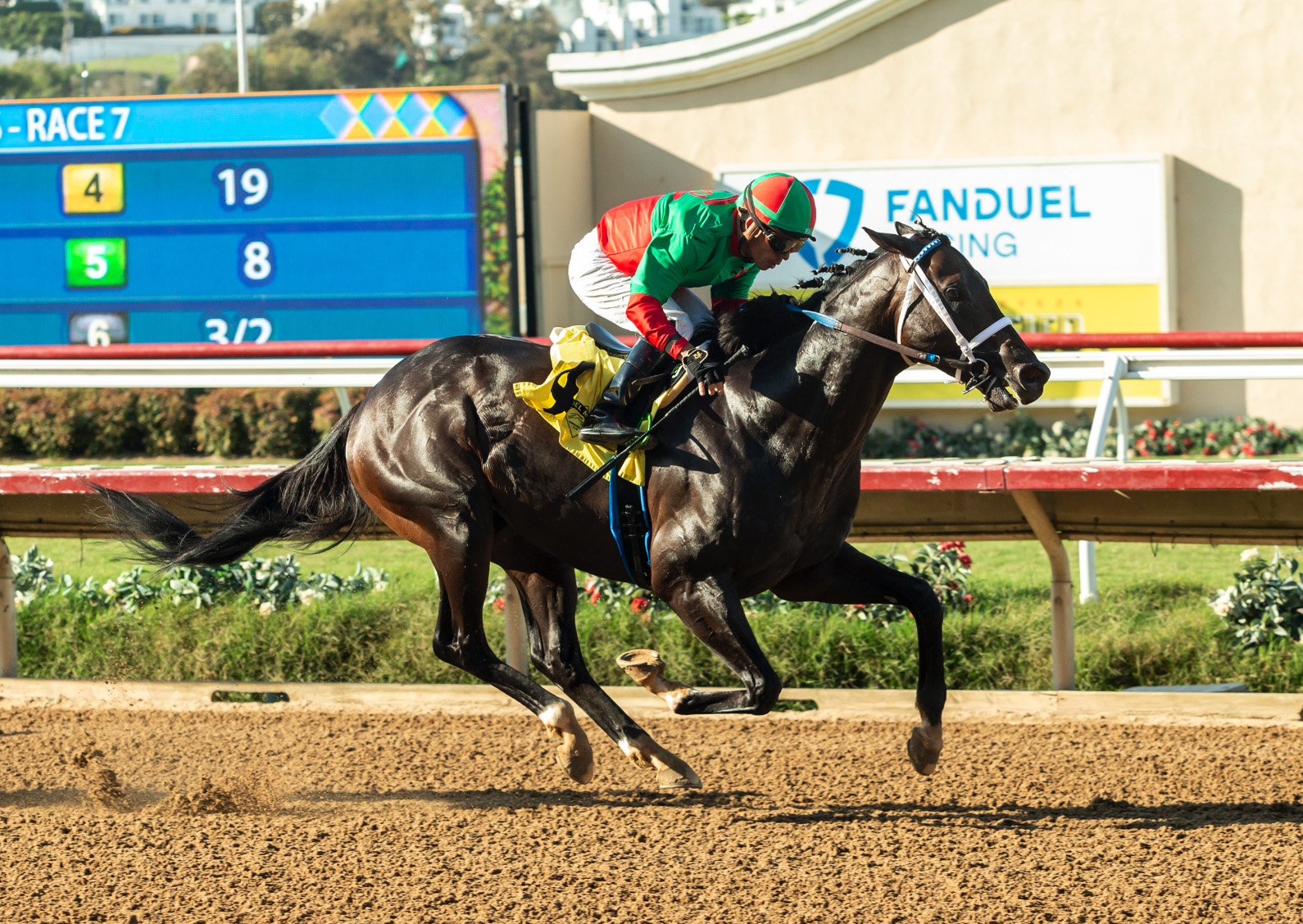Florida-bred Thoroughbred Nesso’s Lastharrah and jockey Emisael Jaramillo gallop to the wire at Del Mar Park to win an allowance optional claiming on August 28, 2026. (Photo: ©Benoit)
