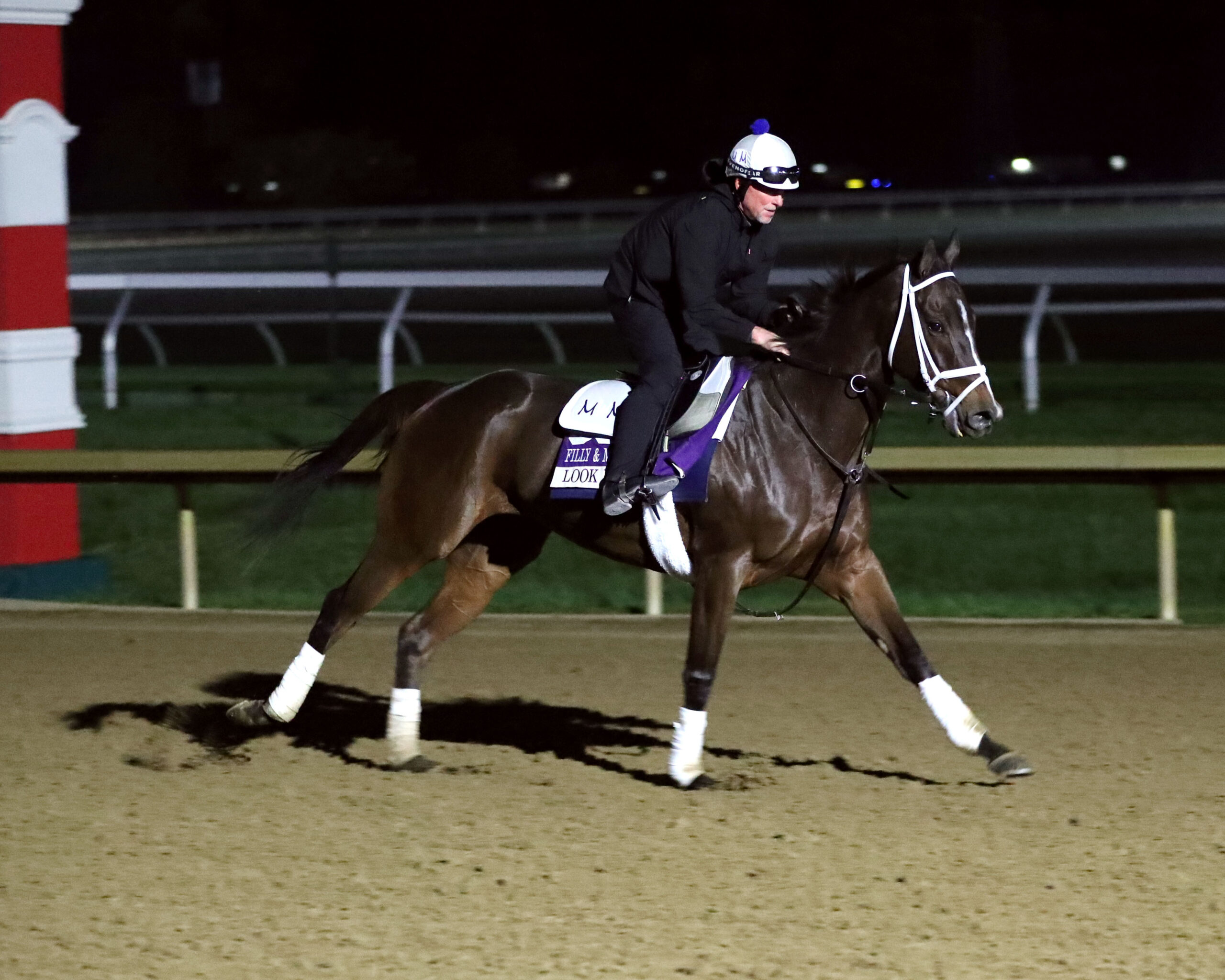 Florida-bred Thoroughbred Nooni canters along the track at Keeneland during a morning workout in preparation for the 2026 Breeders’ Cup Filly & Mare Sprint. (Photo: ©Stephen Ibanez/Coady Media)