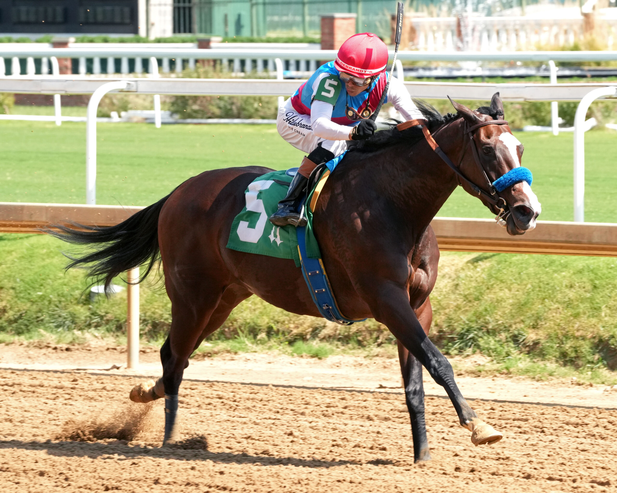 Florida-bred Nooni and jockey Jose Ortiz gallop to the wire at Churchill Downs, scoring a third condition, $100,000 optional claiming on September 13, 2026. (Photo: ©Coady Media)