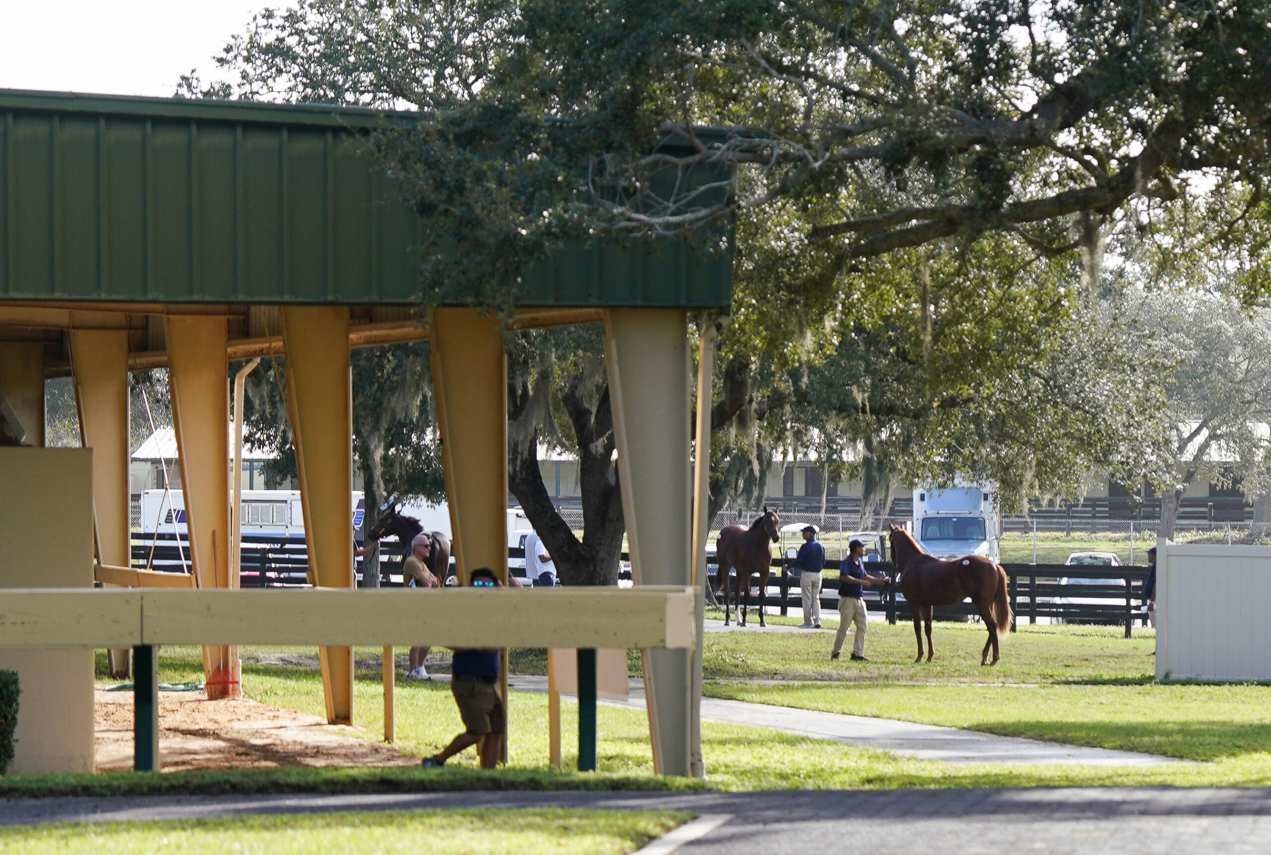Photograph taken of a corner of one of the OBS Sales’ barns on a busy auction day. People are walking the grounds with their horses, while others have paused to study them in preparation for the auction. (Photo: ©OBS/VidHorse)