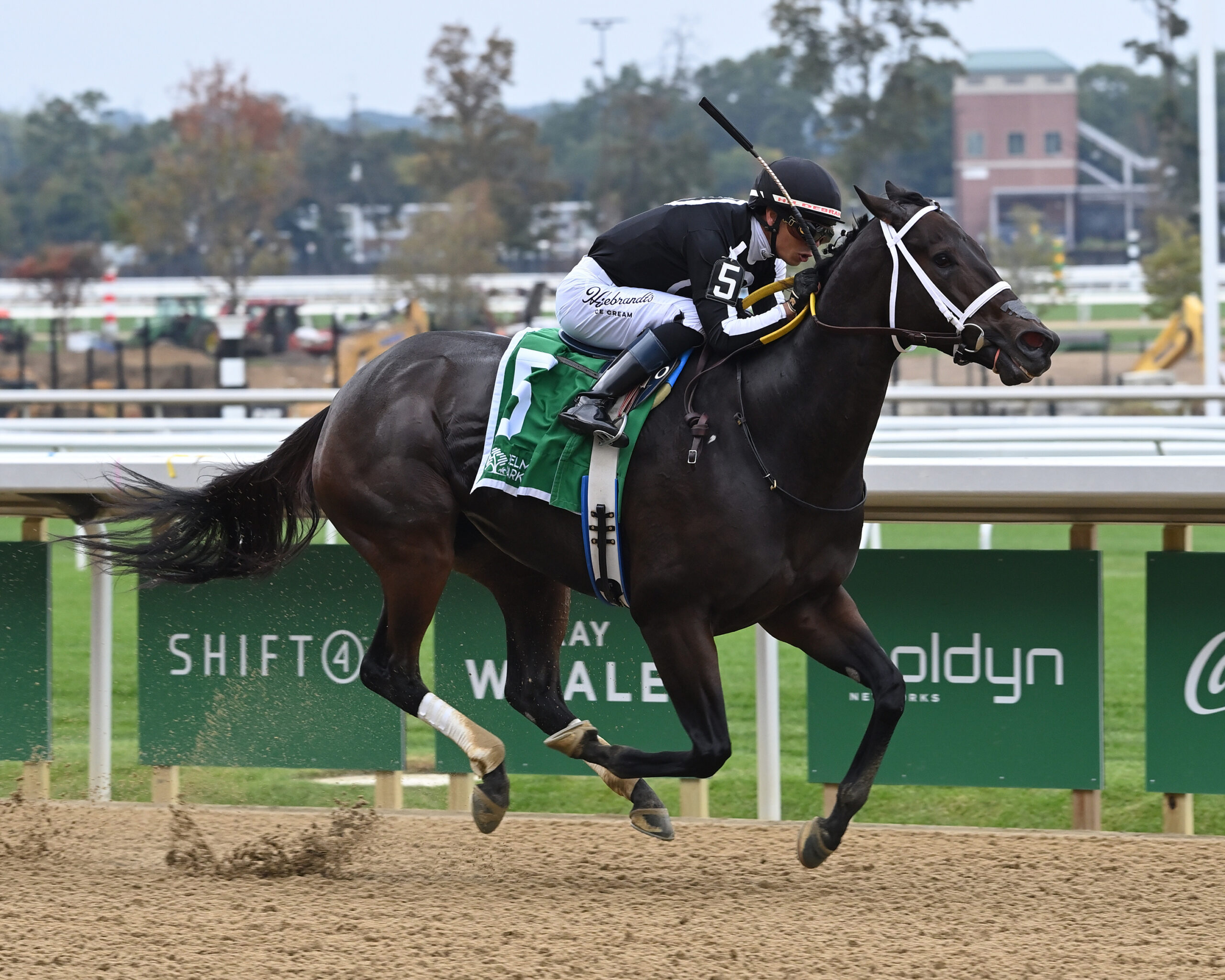 Florida-bred Thoroughbred R Disaster and jockey Jose Ortiz gallop to the wire at Belmont Park to win the 2026 Gallant Bloom. (Photo: ©Susie Raisher)