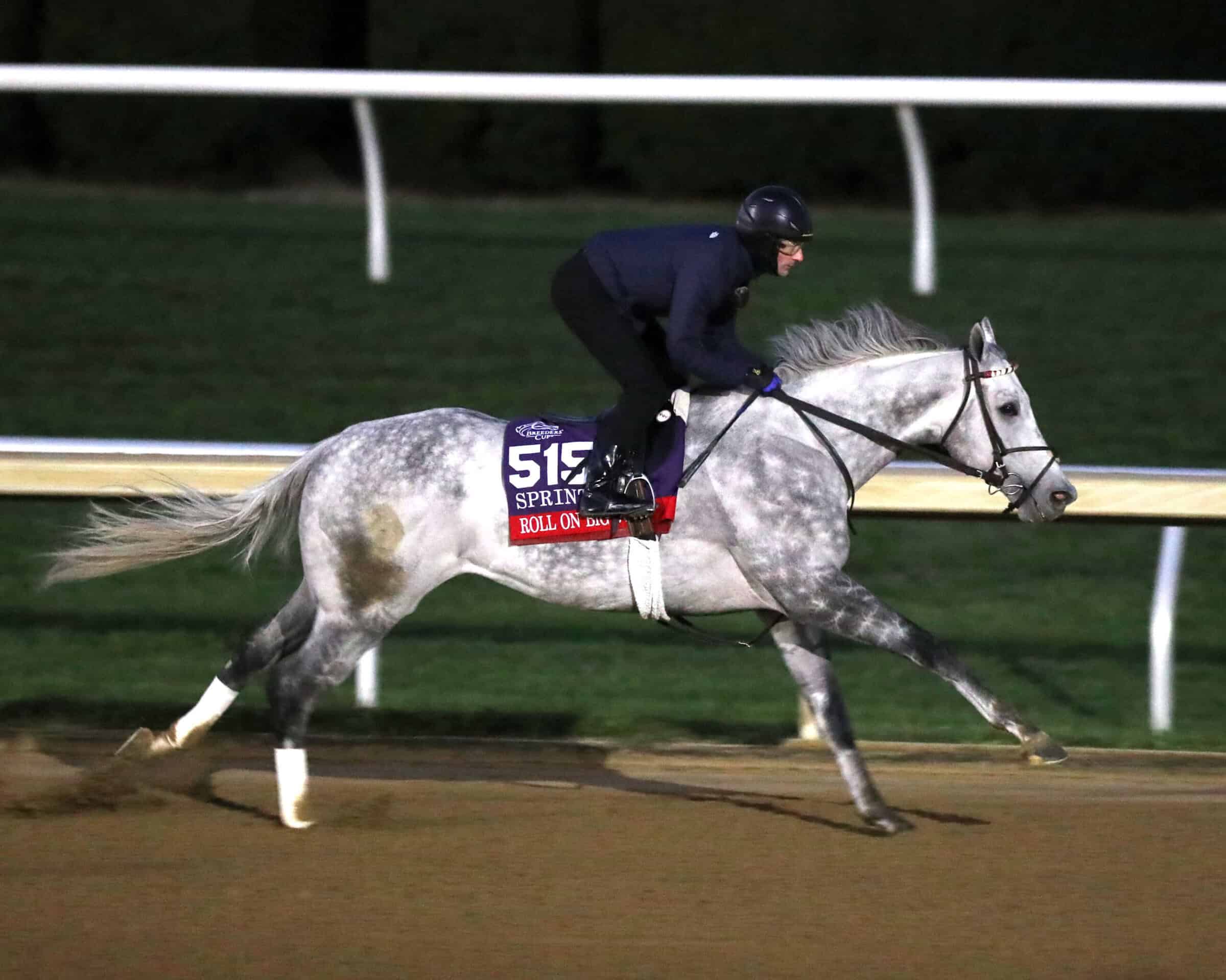 Beautiful grey Roll On Big Joe strides out during an early morning workout at Keeneland