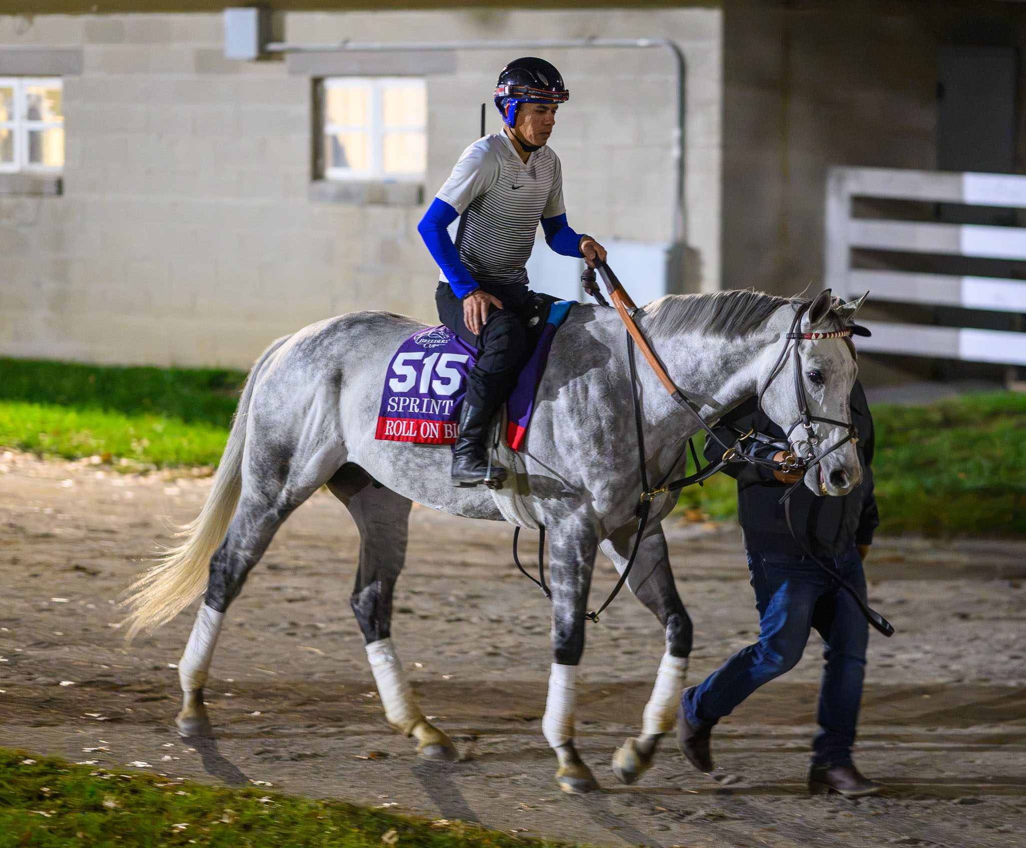 Florida-bred Thoroughbred Roll On Big Joe and rider follow a groom away from the barns. The sun hasn’t risen yet, and the lights of the barn glow warmly behind the trio. (Photo: ©Carlos J. Calo/Eclipse Sportswire/Breeders' Cup)