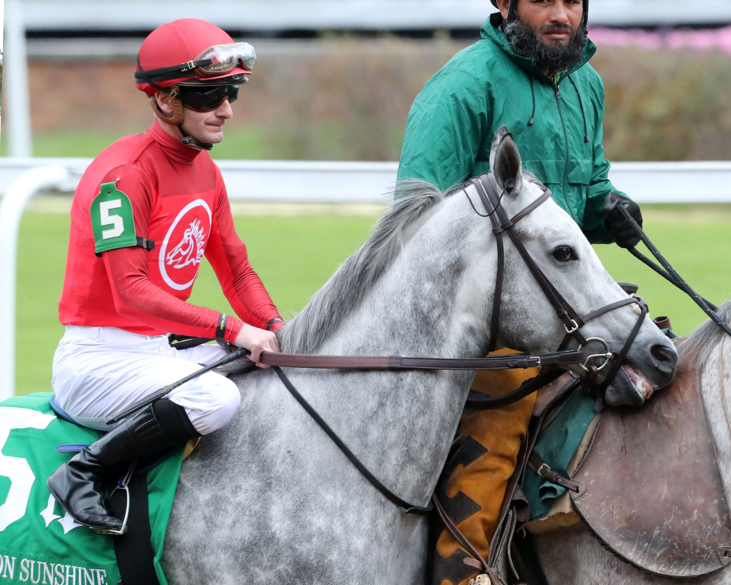 Closely cropped photo of Thoroughbred Roll On Big Joe with jockey Julien Leparoux in the saddle as the duo are ponied onto to the track at Twin Spires before their win of the 2025 Bet on Sunshine Stakes. (Photo: ©Renee Torbit/Coady Media)