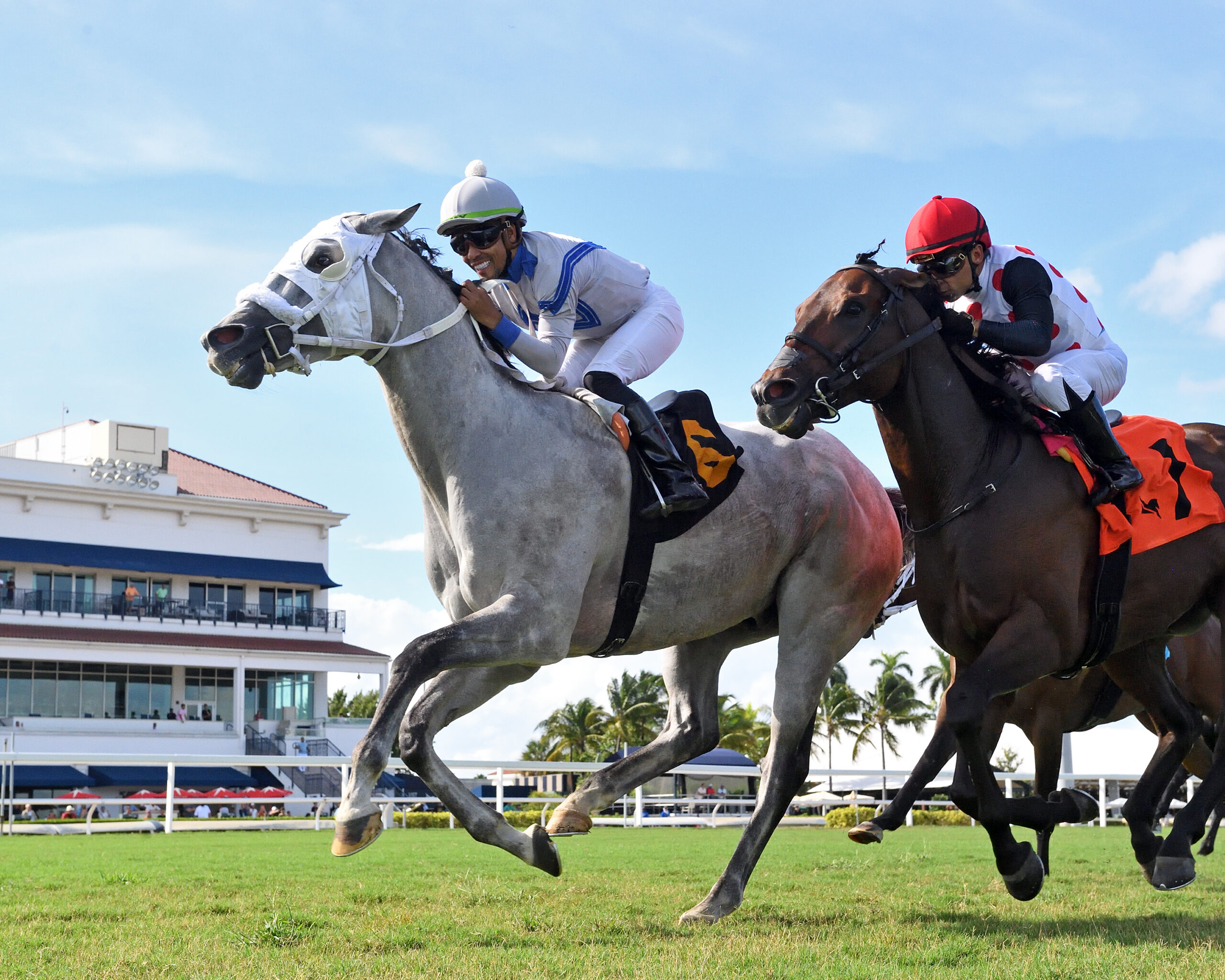 Florida-bred Thoroughbred Rouki and jockey Samy Camacho, who turns in the saddle as the duo cross the wire to grin at the camera, gallop to the wire ahead of fellow Florida-bred Souper Quest, who gallops at Rouki’s neck on the inside rail. Rouki and Camacho held the lead to win the 2026 Chasing Artie overnight handicap at Gulfstream Park. (Photo: ©Ryan Thompson)