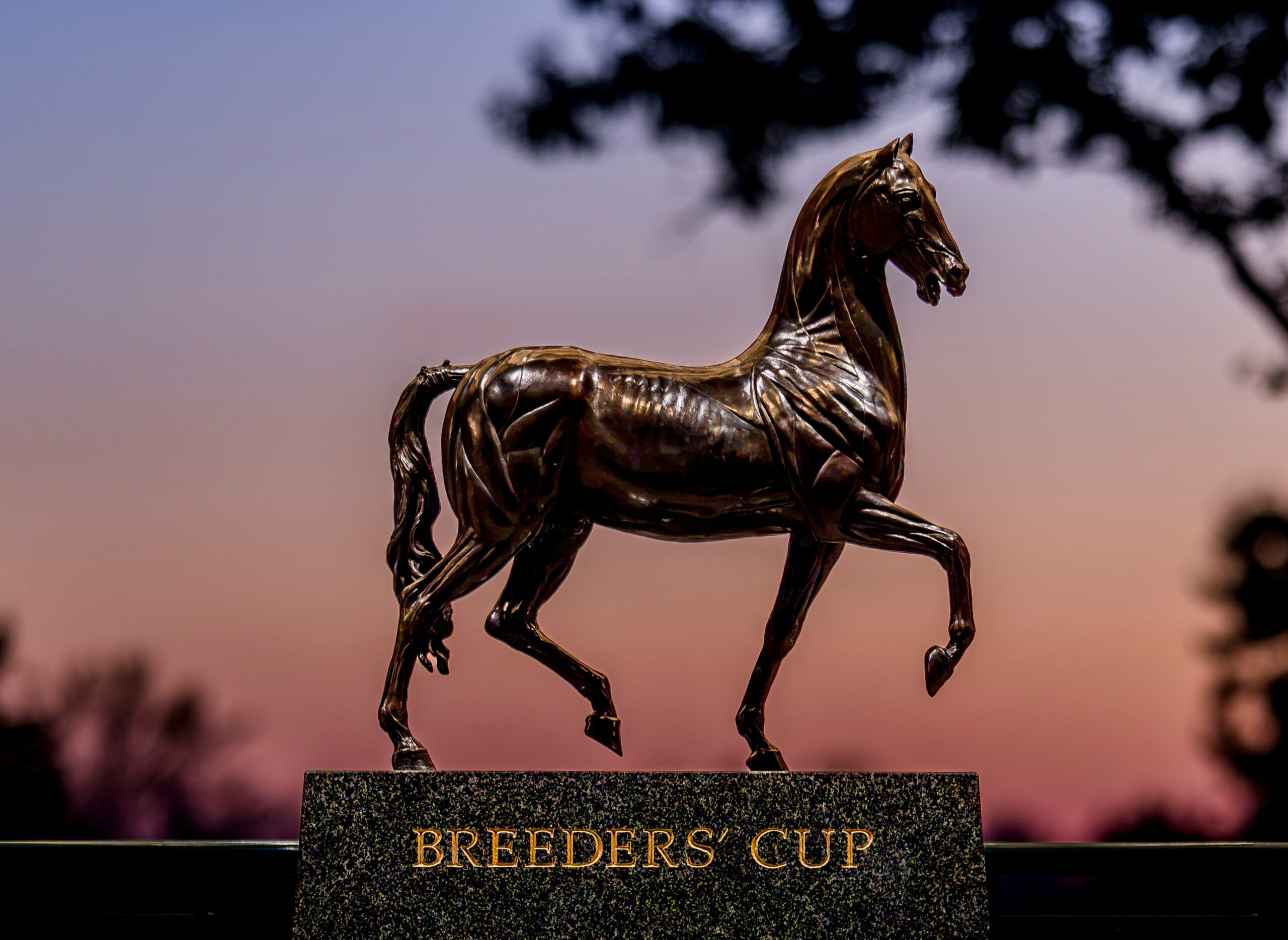 Photograph taken of the Breeders’ Cup trophy, a stylized trotting horse cast in bronze as a reproduction of the Torrie horse, sculpted in the 1580s by Giovanni da Bologna. The horse is placed on a stone base with gold lettering engraved that reads, “Breeders’ Cup.” A beautiful tree-lined sunset of purple, yellow, and pink is blurred into the background. (Photo: ©Scott Serio/Eclipse Sportswire/Breeders' Cup)