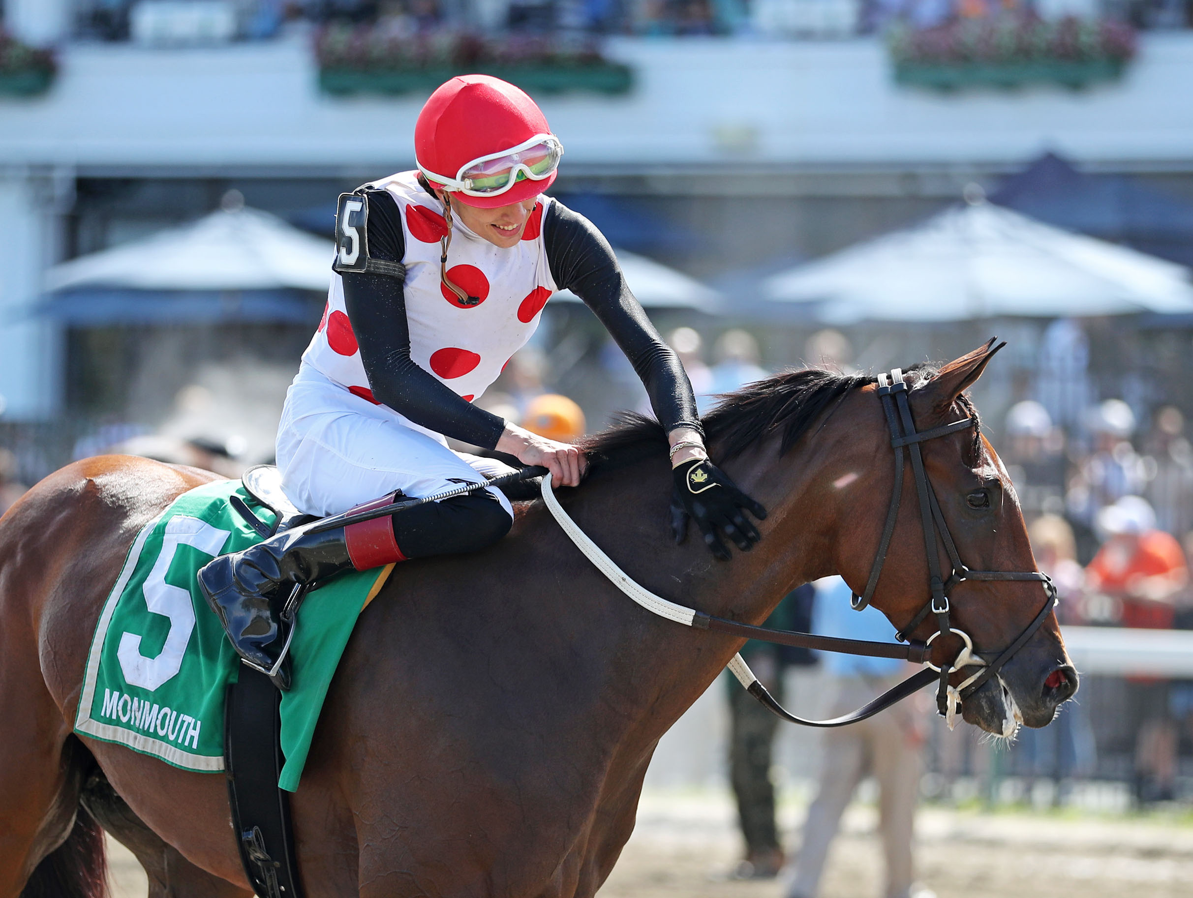 Candid moment of Florida-bred Thoroughbred Souper Forces paused for a moment while jockey Charlie Marquez leans down over his neck to pat Souper Forces, smiling after their win of the 2026 Red Bank. (Photo: ©Ryan Denver/EQUI-PHOTO)
