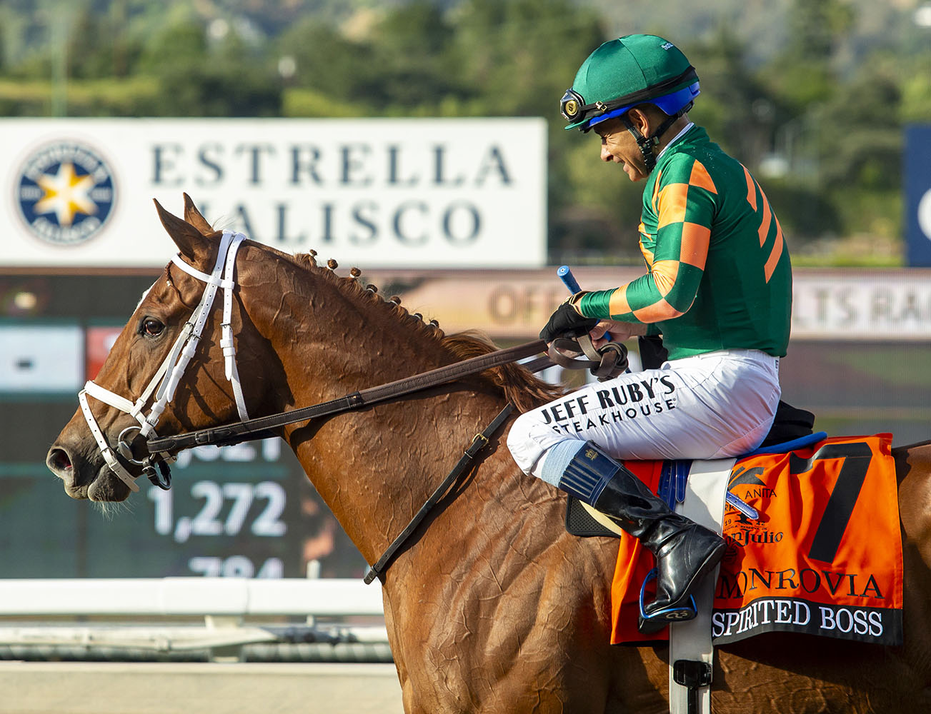 Closely cropped headshot of Florida-bred Thoroughbred Spirited Boss, her head held high as she’s guided off the track by jockey Mike Smith, who smiles down at her from the saddle after their win of the 2026 Grade 3 Monrovia at Santa Anita. (Photo: ©Benoit)