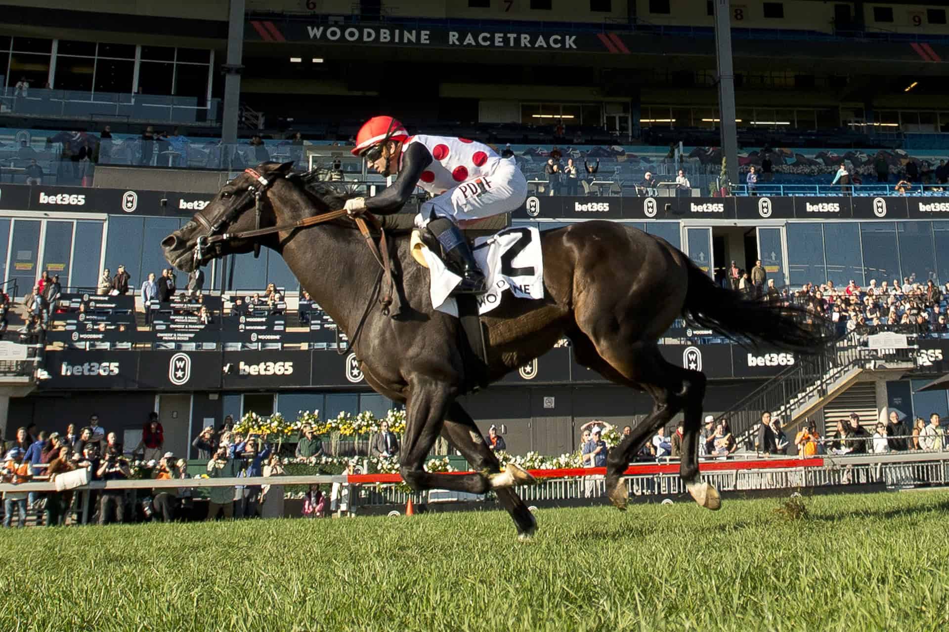 Florida-bred Thoroughbred Victory Achieved and jockey Rafael Hernandez gallop to the wire at Woodbine Racetrack, winning the 2026 Grade 2 Nearactic.
